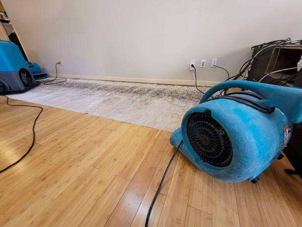 Professional Emergency Water Damage technician working in Montrose, SD